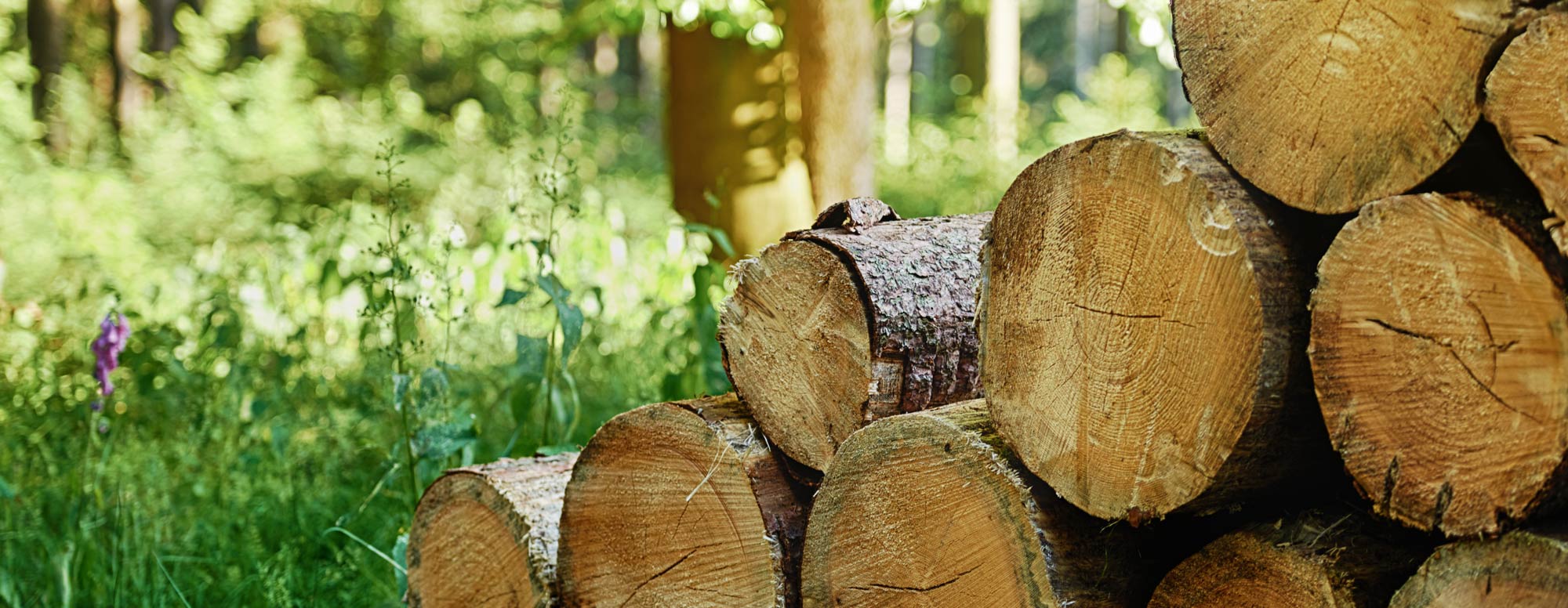 Heizen mit Holz